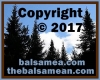 Copyright 2017 TheBalsamean.com. All rights reserved.
